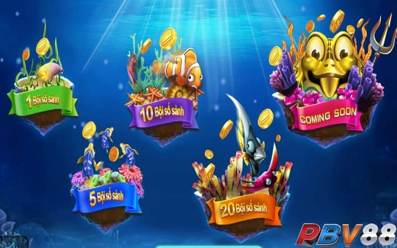 Đại Sư Đánh Cá thu hút nhiều người chơi tham gia