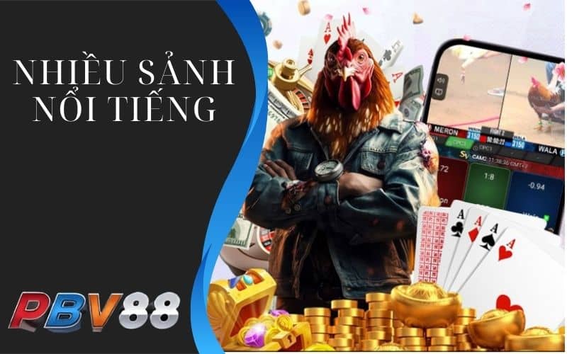 Đá gà PBV88 có nhiều sảnh chơi nổi tiếng Đá gà PBV88 có nhiều sảnh chơi nổi tiếng