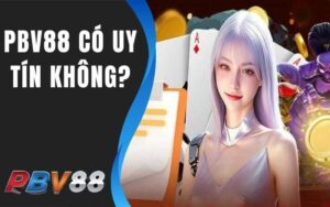 PBV88 Có Uy Tín Không?